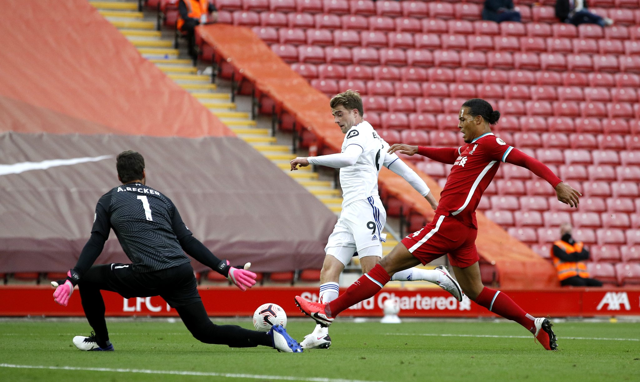 暴露了许多 暴露了许多